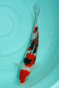 20111120 161-200.jpg